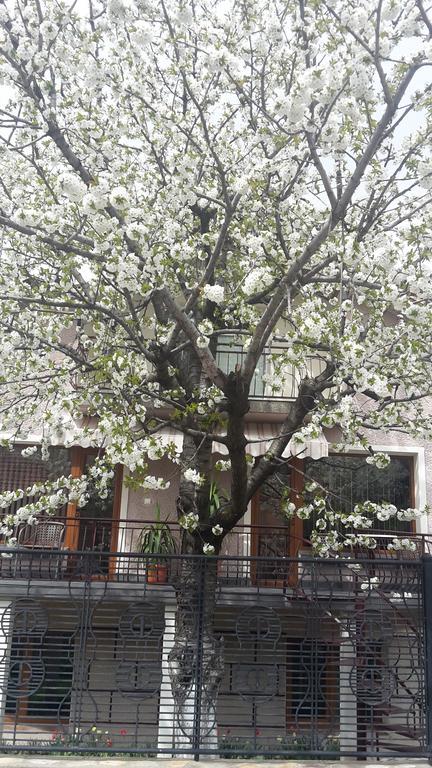 Kyurkchievi Guest House Sapareva Banya ภายนอก รูปภาพ