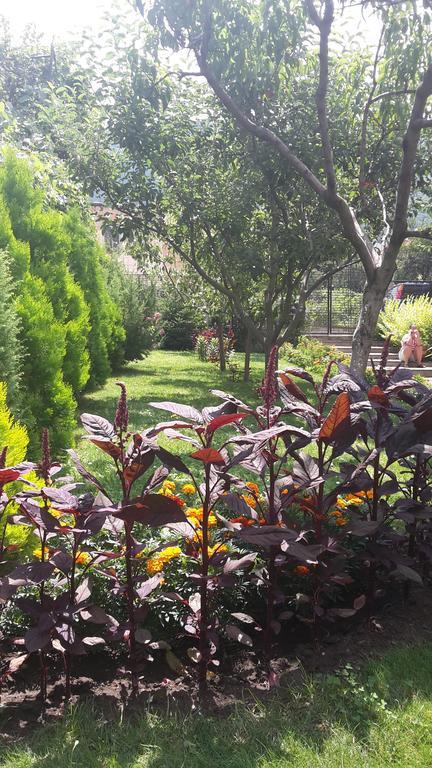 Kyurkchievi Guest House Sapareva Banya ภายนอก รูปภาพ