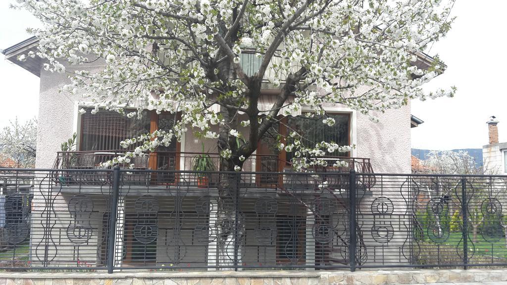 Kyurkchievi Guest House Sapareva Banya ภายนอก รูปภาพ