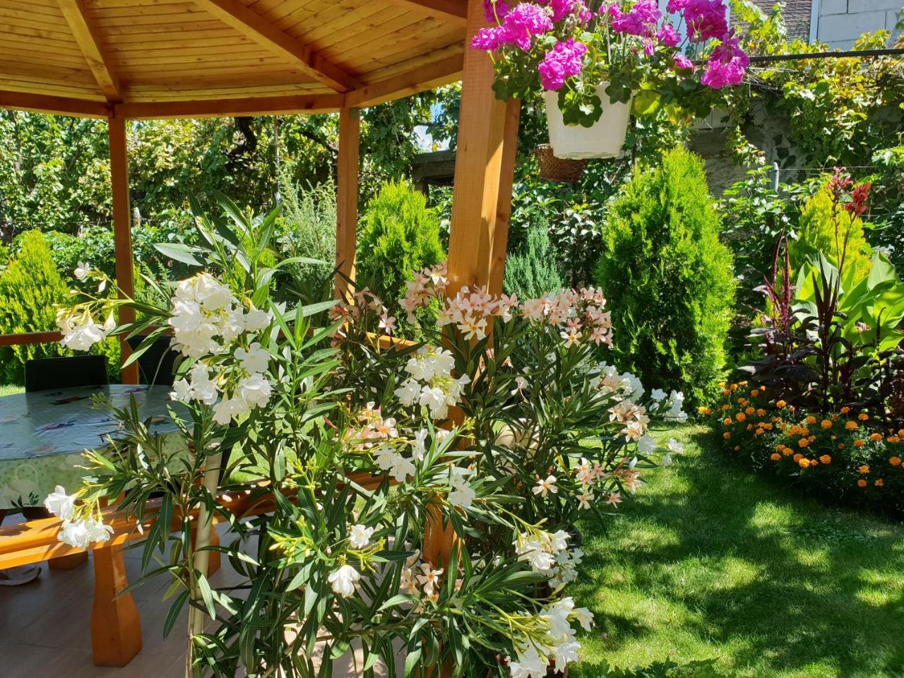 Kyurkchievi Guest House Sapareva Banya ภายนอก รูปภาพ