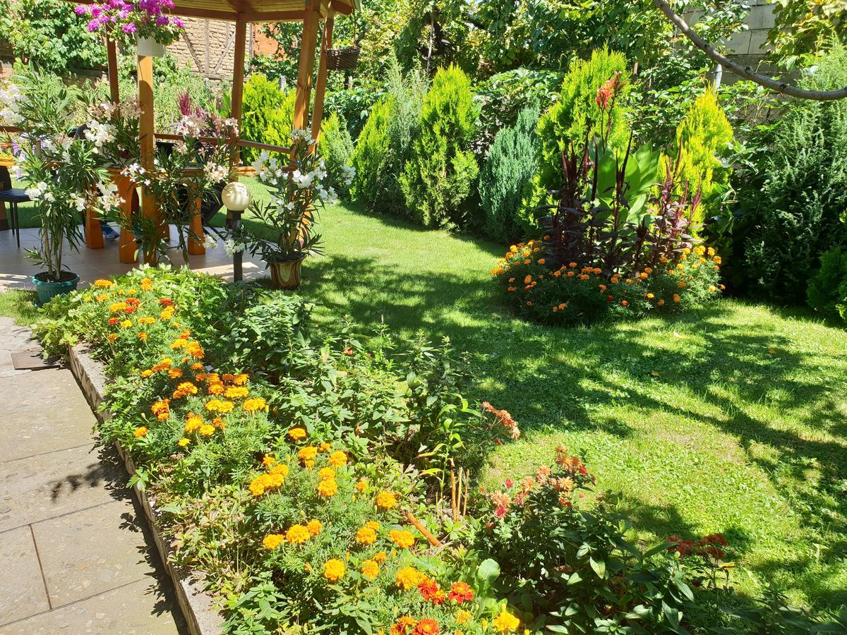 Kyurkchievi Guest House Sapareva Banya ภายนอก รูปภาพ