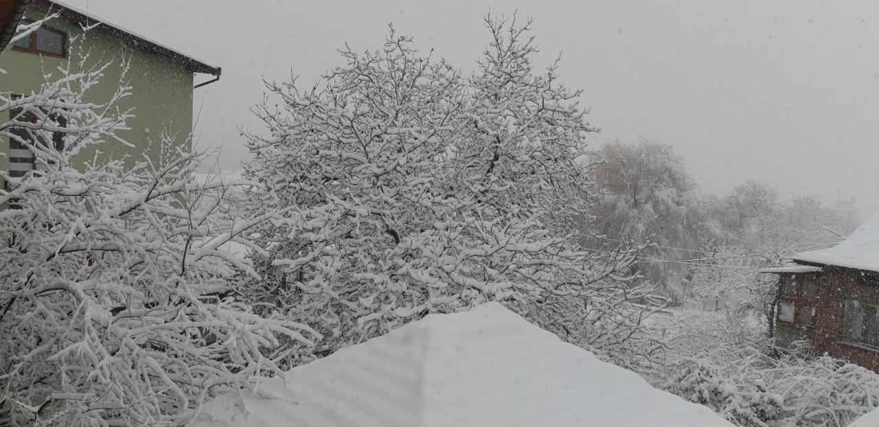 Kyurkchievi Guest House Sapareva Banya ภายนอก รูปภาพ